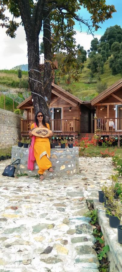 Vanprastha Resorts Dwarahat المظهر الخارجي الصورة