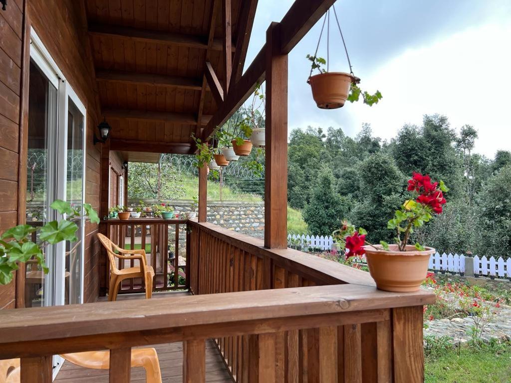 Vanprastha Resorts Dwarahat المظهر الخارجي الصورة