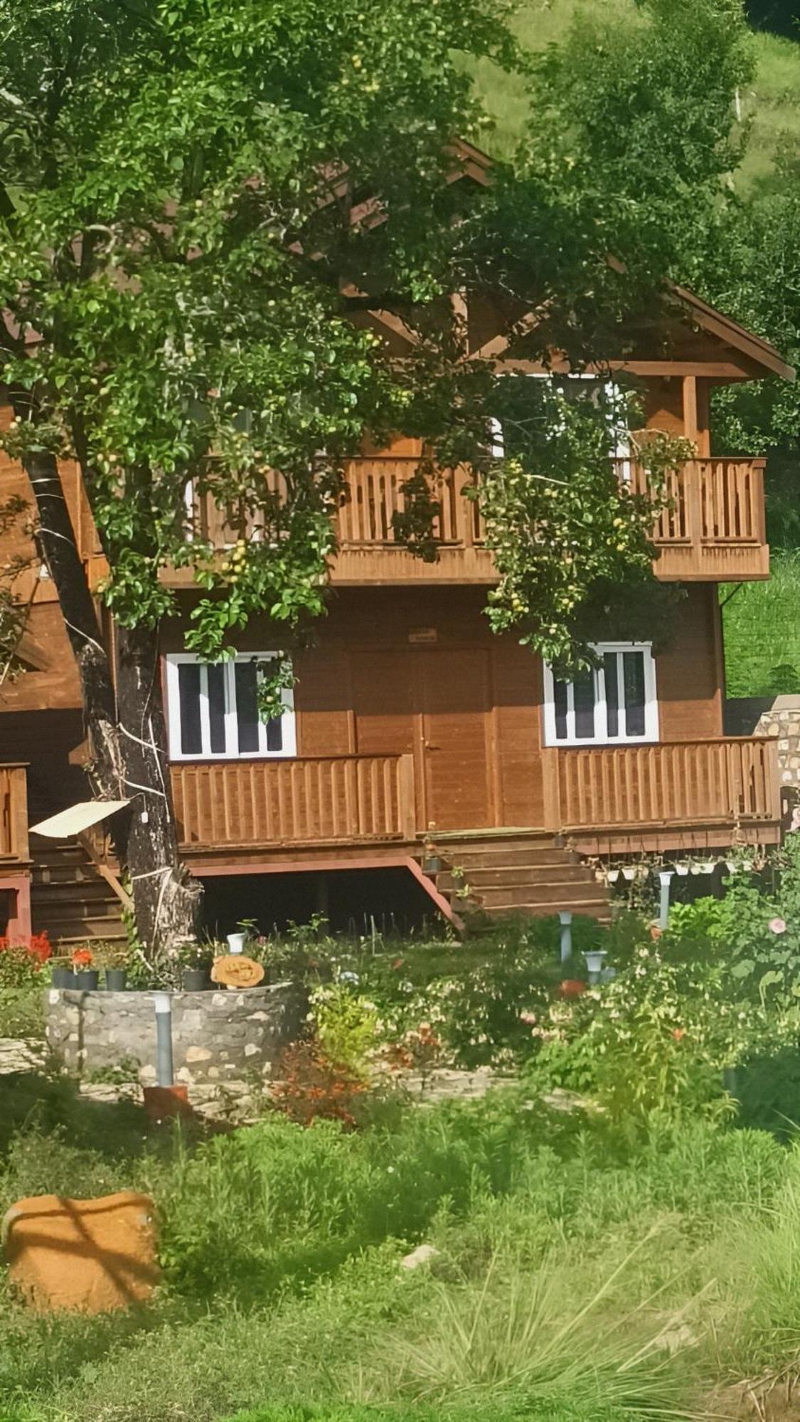 Vanprastha Resorts Dwarahat المظهر الخارجي الصورة