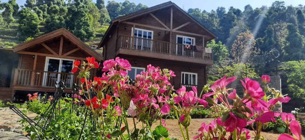 Vanprastha Resorts Dwarahat المظهر الخارجي الصورة
